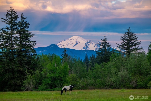 mountain view with a heavily wooded area