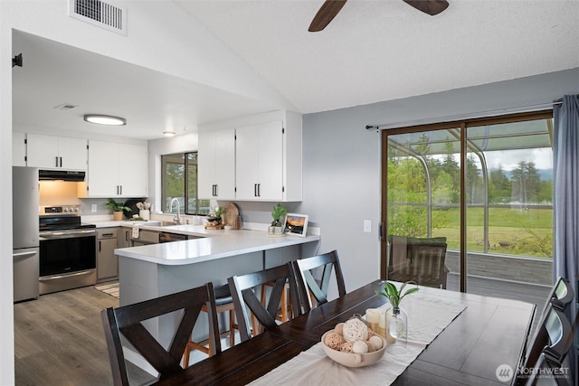 kitchen with stainless steel appliances, under cabinet range hood, lofted ceiling, light wood-style flooring, and a ceiling fan