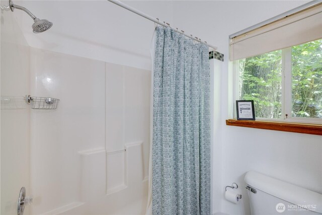 7537 Canyon View Dr, Glacier, WA 98244 - full bath with toilet
