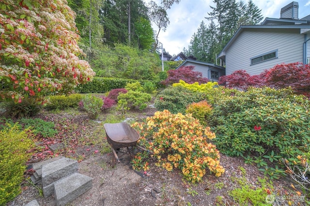 view of yard