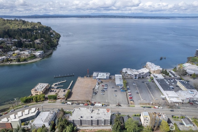 aerial overview of property's location with a nearby body of water