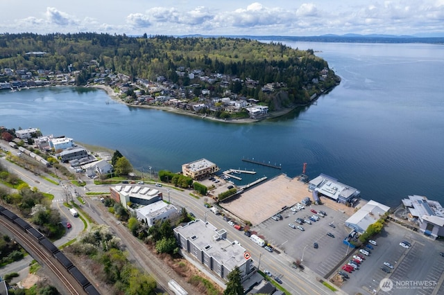 drone / aerial view of a nearby body of water