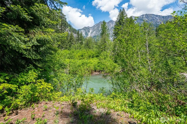 27988 Napeequa Dr, Leavenworth, WA 98826 - photo 4