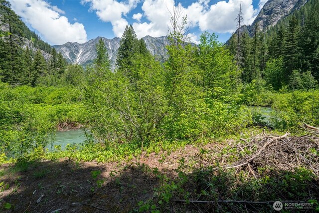 27988 Napeequa Dr, Leavenworth, WA 98826 - photo 8