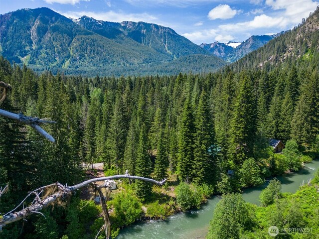 27988 Napeequa Dr, Leavenworth, WA 98826 - photo 9