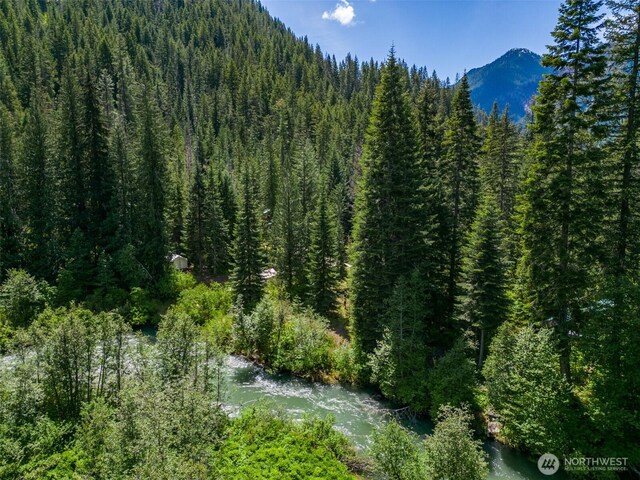 27988 Napeequa Dr, Leavenworth, WA 98826 - photo 10