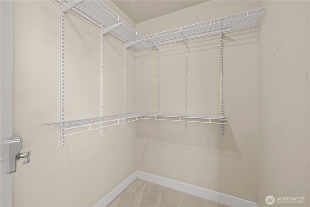 walk in closet with carpet
