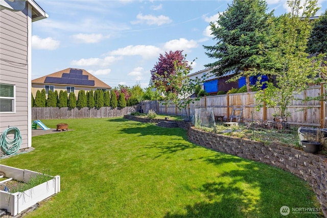 view of yard with a vegetable garden