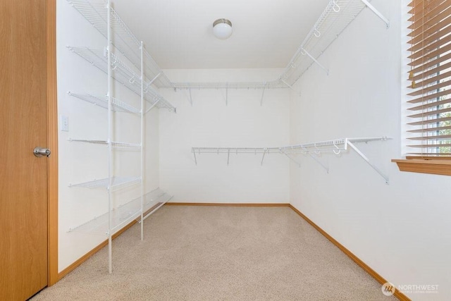 spacious closet with carpet floors