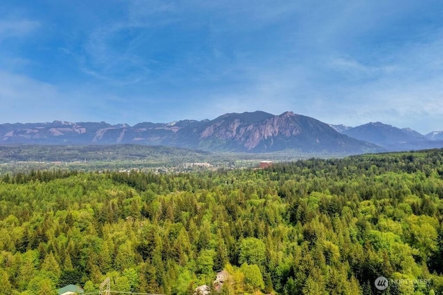 view of mountain background with a forest