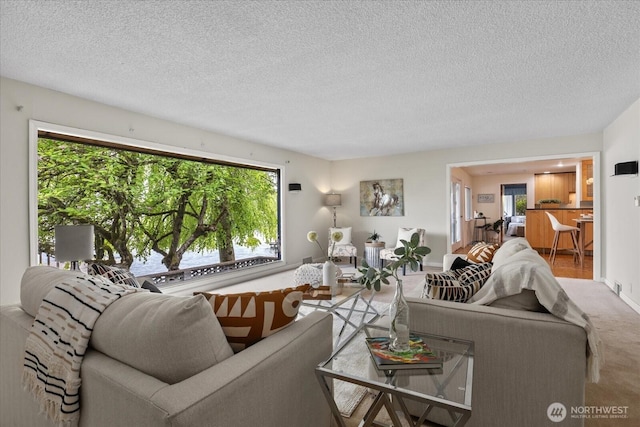 10918 Vernon Rd, Lake Stevens, WA 98258 - carpeted living area featuring a textured ceiling