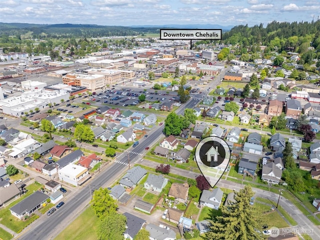 166 SW Lewis St, Chehalis, WA 98532 - aerial view of property and surrounding area