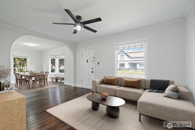 166 SW Lewis St, Chehalis, WA 98532 - living area with arched walkways, dark wood-style floors, crown molding, a ceiling fan, and baseboards