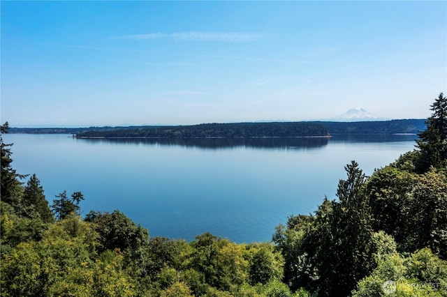 11011 Seaview Dr, Anderson Island, WA 98303 - water view