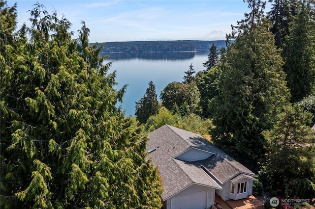11011 Seaview Dr, Anderson Island, WA 98303 - view of subject property with a large body of water and a forest