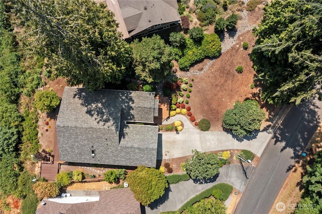 11011 Seaview Dr, Anderson Island, WA 98303 - aerial view of property and surrounding area
