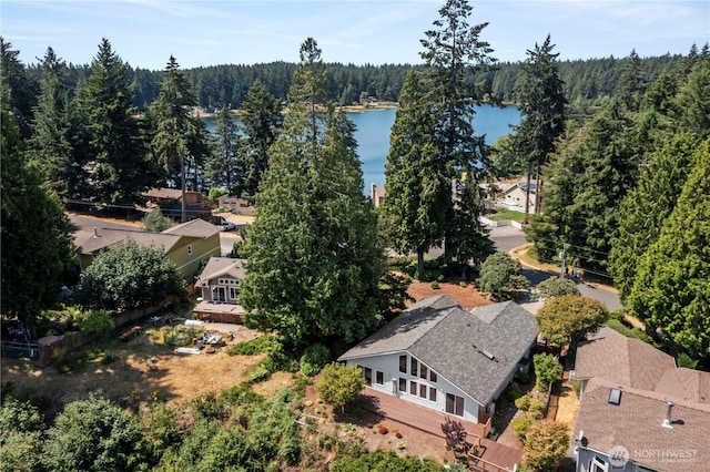 11011 Seaview Dr, Anderson Island, WA 98303 - bird's eye view of a forest and a large body of water