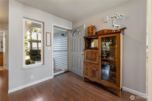 11011 Seaview Dr, Anderson Island, WA 98303 - foyer featuring dark wood-style flooring and baseboards