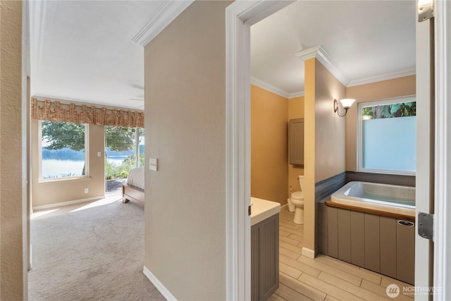 11011 Seaview Dr, Anderson Island, WA 98303 - full bathroom with toilet, crown molding, a garden tub, vanity, and baseboards
