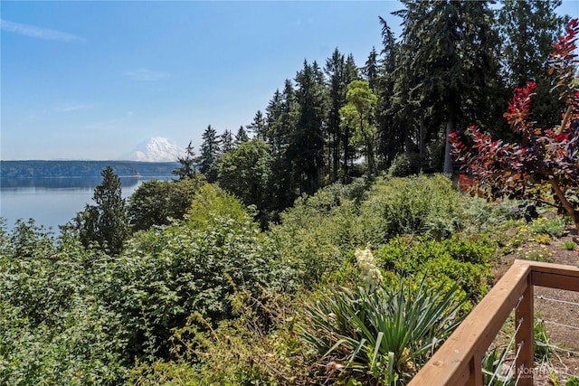 11011 Seaview Dr, Anderson Island, WA 98303 - water view