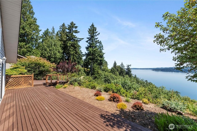 11011 Seaview Dr, Anderson Island, WA 98303 - wooden terrace with a water view