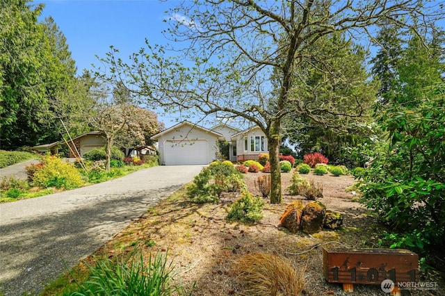 11011 Seaview Dr, Anderson Island, WA 98303 - single story home featuring asphalt driveway and an attached garage