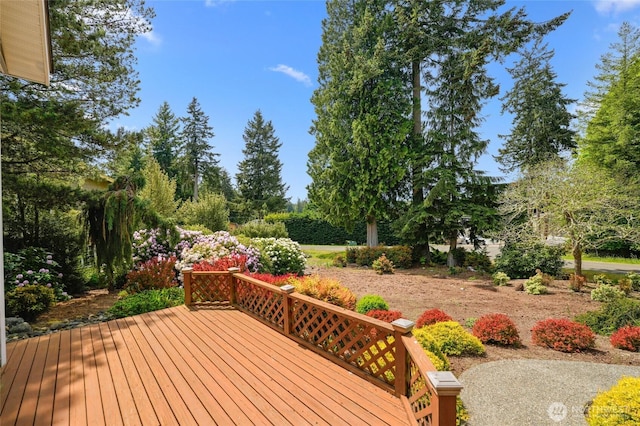 11011 Seaview Dr, Anderson Island, WA 98303 - view of wooden terrace
