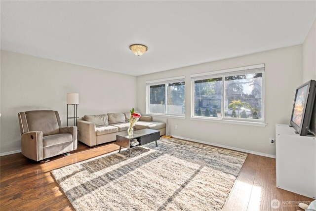 17001 17th Avenue Ct E, Spanaway, WA 98387 - living room with wood finished floors and baseboards