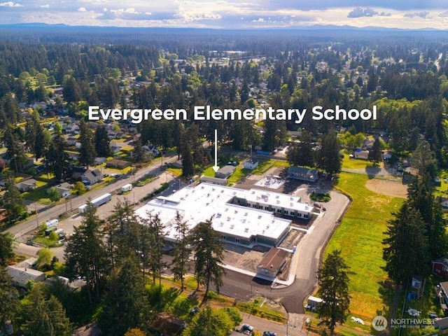 17001 17th Avenue Ct E, Spanaway, WA 98387 - aerial overview of property's location with a heavily wooded area