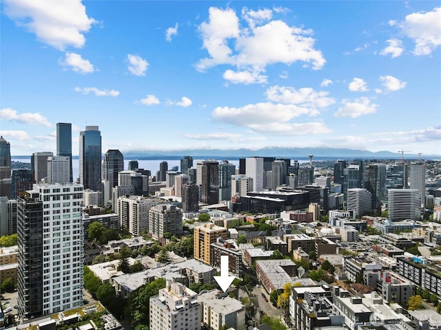 1200 Boylston Ave Unit 301, Seattle, WA 98101 - city view