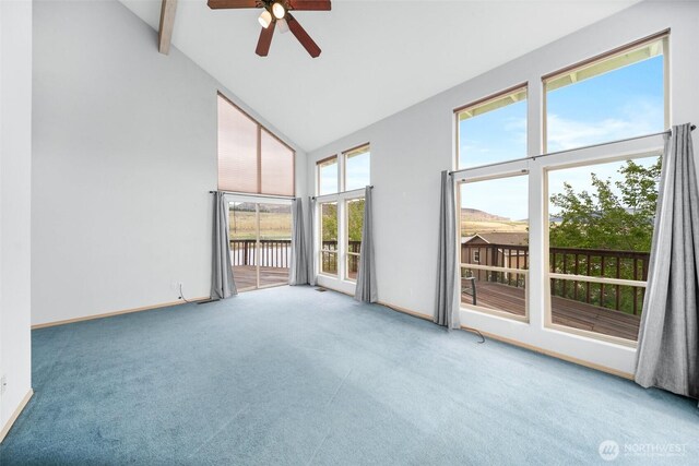 7615 Tarpiscan Rd, Malaga, WA 98828 - photo 12