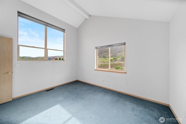 7615 Tarpiscan Rd, Malaga, WA 98828 - photo 26