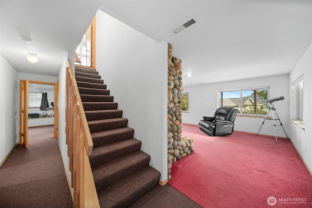 7615 Tarpiscan Rd, Malaga, WA 98828 - photo 27