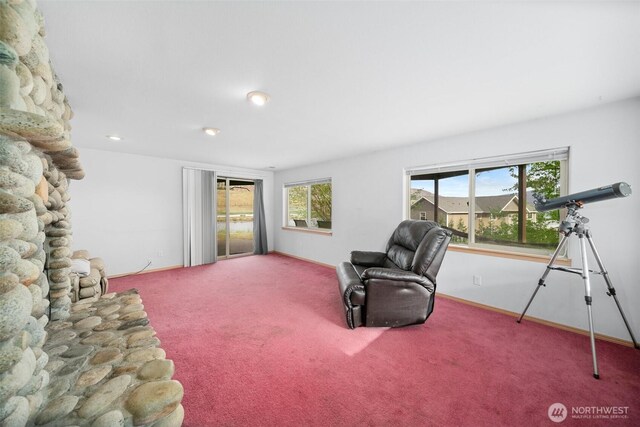 7615 Tarpiscan Rd, Malaga, WA 98828 - photo 30