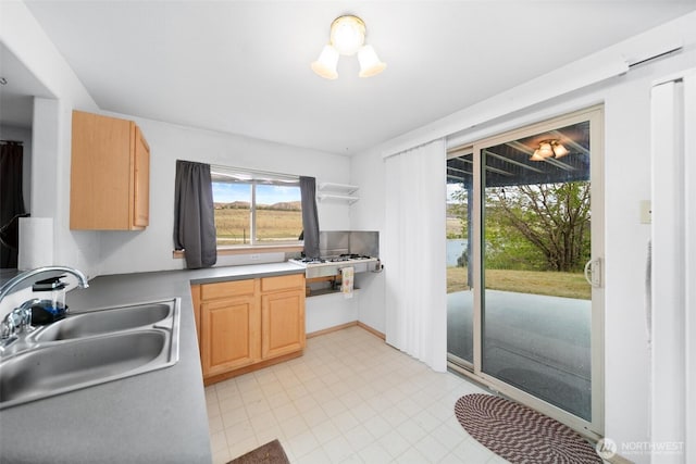 7615 Tarpiscan Rd, Malaga, WA 98828 - photo 36