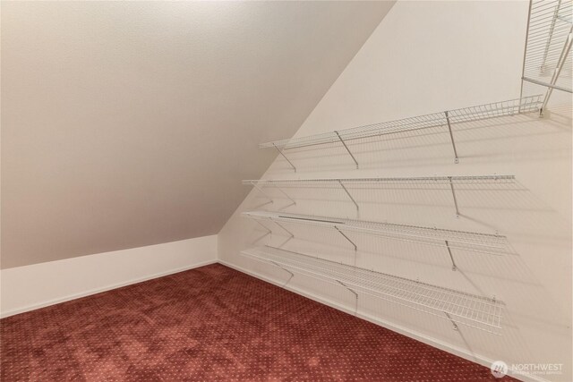 spacious closet with vaulted ceiling and carpet