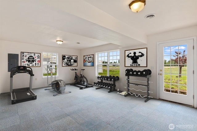workout area featuring electric panel, carpet, and baseboards