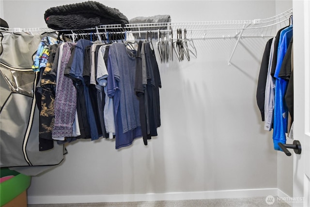1086 Collier Pl SW, Issaquah, WA 98027 - view of spacious closet