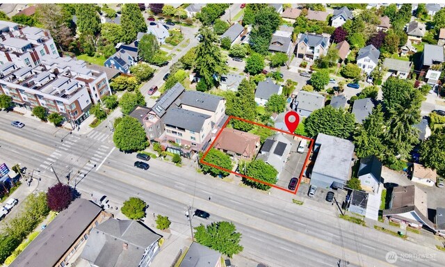 7342 15th Ave NW, Seattle, WA 98117 - photo 5