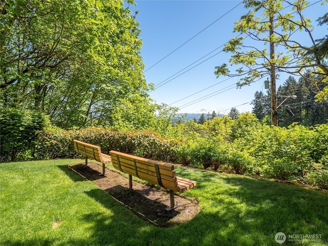 21450 40th Pl S Unit A, Seatac, WA 98198 - view of home's community featuring a lawn