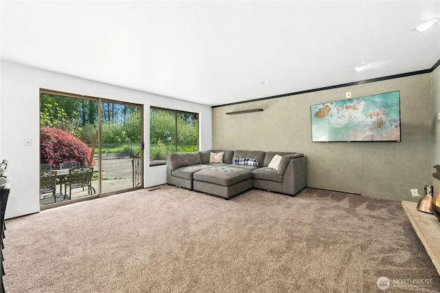 view of carpeted living room