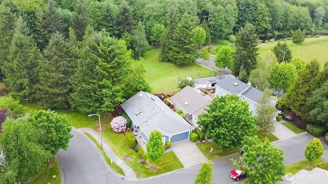 4509 Waterford Ln SE, Lacey, WA 98503 - aerial view