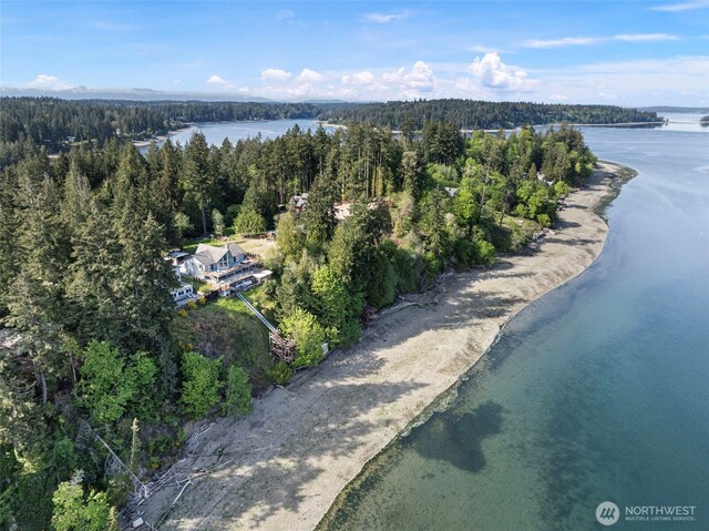 aerial overview of property's location with a heavily wooded area and a nearby body of water