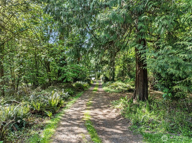 view of street with a wooded view