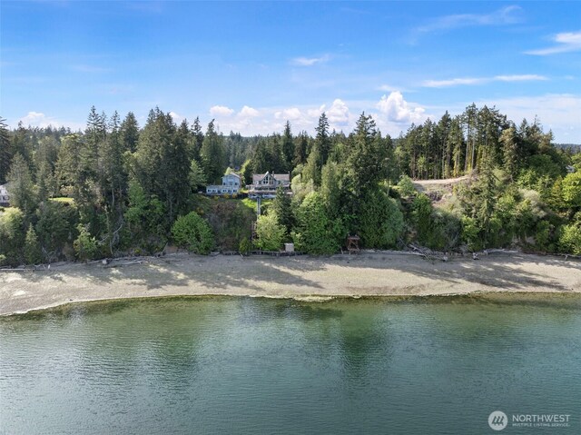 water view featuring a heavily wooded area