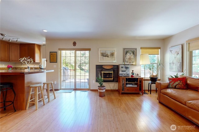 18 Blue Creek Rd, Walla Walla, WA 99362 - living room with plenty of natural light, light wood-style flooring, and a high end fireplace