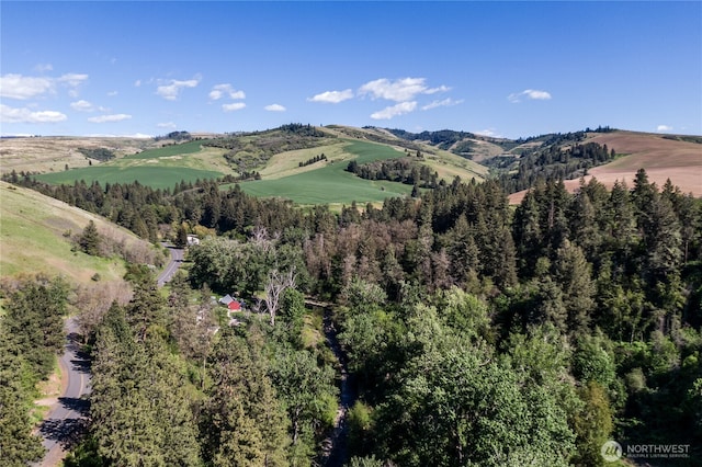 18 Blue Creek Rd, Walla Walla, WA 99362 - view of mountain background