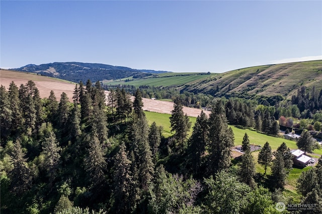 18 Blue Creek Rd, Walla Walla, WA 99362 - mountain view featuring rural landscape