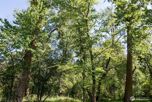 18 Blue Creek Rd, Walla Walla, WA 99362 - view of tree filled area