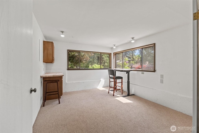interior space with carpet flooring